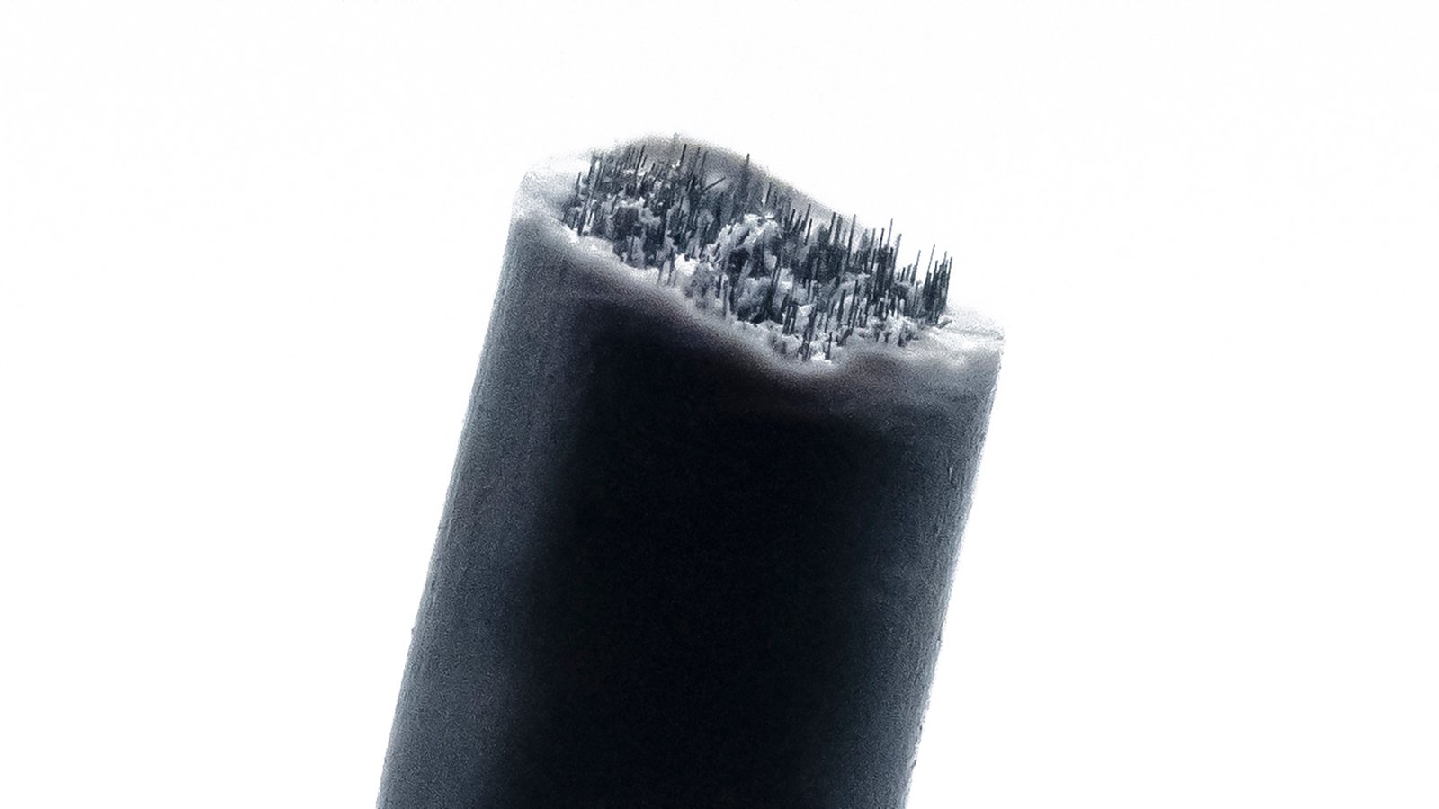 Abs-Cf20