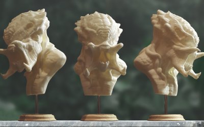 Predator Bust Model